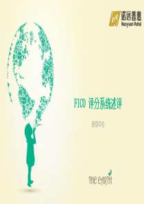 FIco系统模型介绍