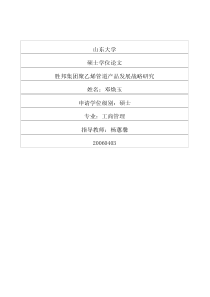 胜邦集团聚乙烯管道产品发展战略研究