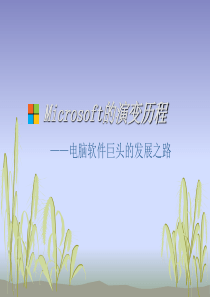 Microsoft的logo演变历程