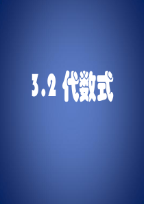 代数式a