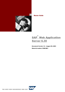 精通sap web应用服务器