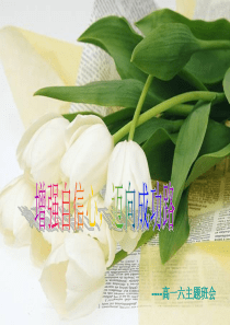 增强自信心,迈向成功路-高一六主题班会