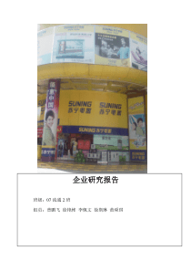 苏宁电器股份有限公司发展概况