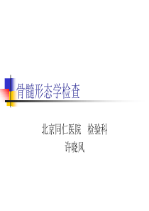 56正常骨髓形态学检查