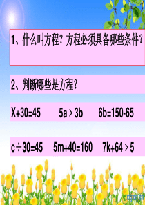 小学五年级数学解方程课件
