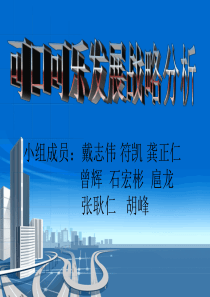 西北民族大学可口可乐发展战略分析