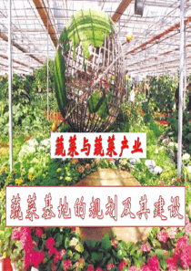 蔬菜基地的规划及其建设
