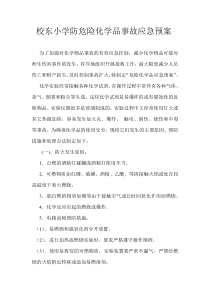 校东小学防危险化学品事故应急预案