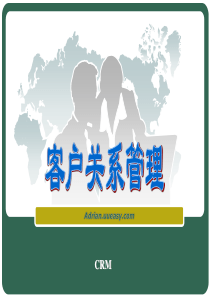 第9章 CRM系统的实施