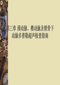 第三章 颈动脉椎动脉及锁骨下动脉多普勒超声检查指南
