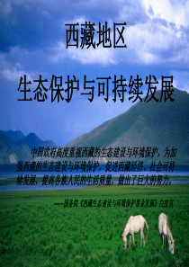 西藏地区生态保护与可持续发展-山东大学教务处网络办公系统