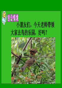 《放小鸟》课件(苏教版一年级语文下册课件)2013