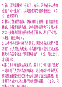 七下语文配套练习册阅读答案水边的鸟窝