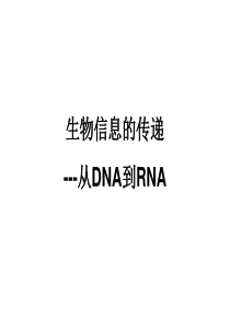 基因转录课件