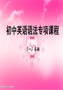 初中英语语法总复习  ( 名词的用法)