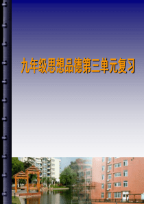 思品九年级第三单元复习