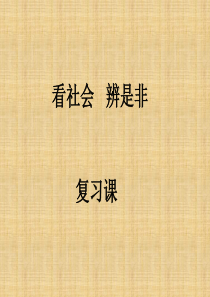 思想品德：第十七课《看社会 辨是非》复习课件(鲁教版七年级下)