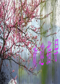 语文：第13课《音乐巨人贝多芬》课件(人教新课标七年级下)