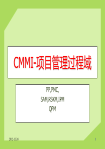 CMMI-项目管理过程域