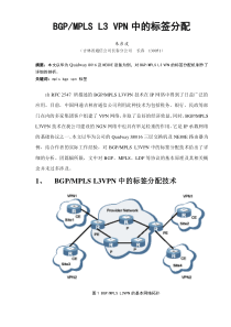MPLS标签分配分析