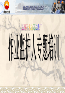 作业监护人专题培训20111125