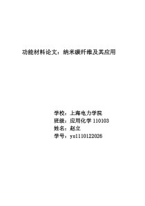 纳米碳纤维及其应用