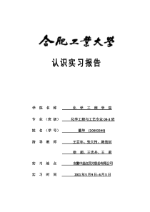 合肥工业大学中盐红四方实习报告