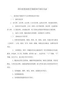 四川省基本医疗保险诊疗项目目录