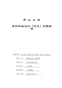 CASS工艺毕业设计文献综述