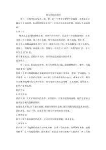 蓟马的防治技术