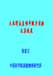 大亚湾反应堆中微子实验及其进展-70页PPT精品文档