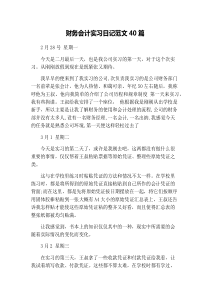 财务会计实习日记范文40篇