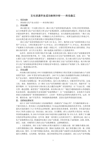 文化资源开发成功案例分析