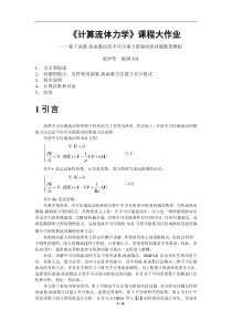 计算流体力学课程大作业