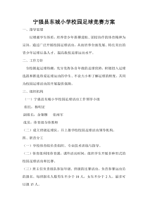 东城小学校园足球比赛方案
