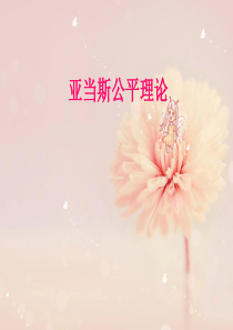 亚当斯的公平理论