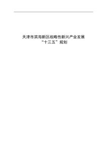 天津市滨海新区战略性新兴产业发展十三五规划