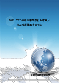 酰胺行业市场分析及发展战略咨询报告