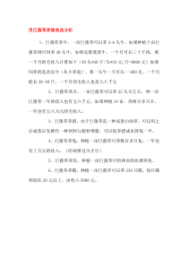 巨菌草效益分析