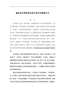 重庆金沙国际商业部分初步发展建议书doc17(1)