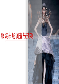服装市场调研与预测