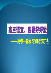 高三语文一轮复习学法指导
