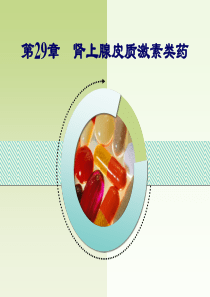 第二十九章-肾上腺皮质激素类药-ppt