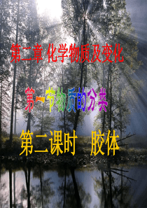 物质分类第二课时(公开课)