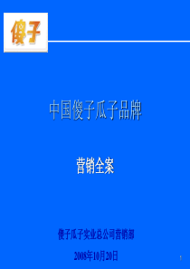 傻子瓜子全案
