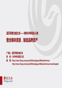 商业合作方案-凤凰+温莎