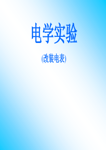 2010届高考物理电学实验复习课件