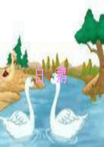13《白鹅》PPT课件_(3)_-_人教新课标小学语文四年级上册