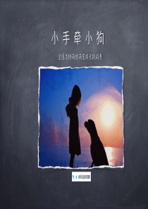 《小狗牵小手》优酷节目方案20170114