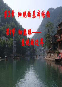 3.1细胞膜――系统的边界